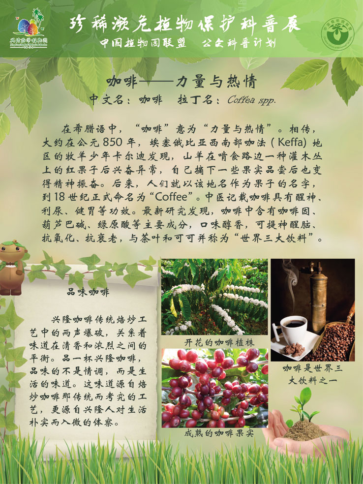 珍稀濒危植物保护科普展 咖啡-力量与热情